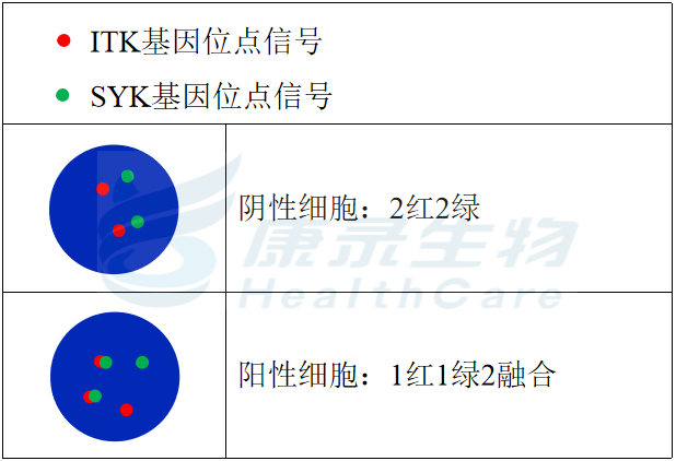 中国·拉斯维加斯(3499·官方认证)网站-Officialwebsite